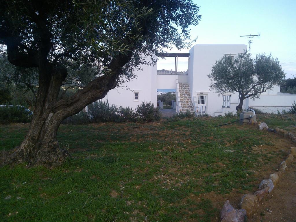 Evdokia Apartment